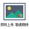 壓力溶彈/消解罐